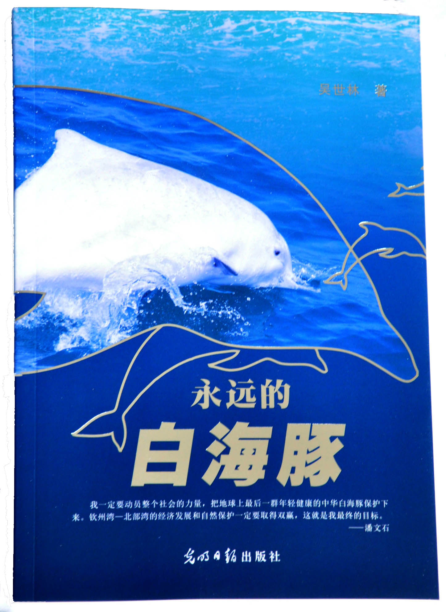永远的白海豚1(?。?jpg