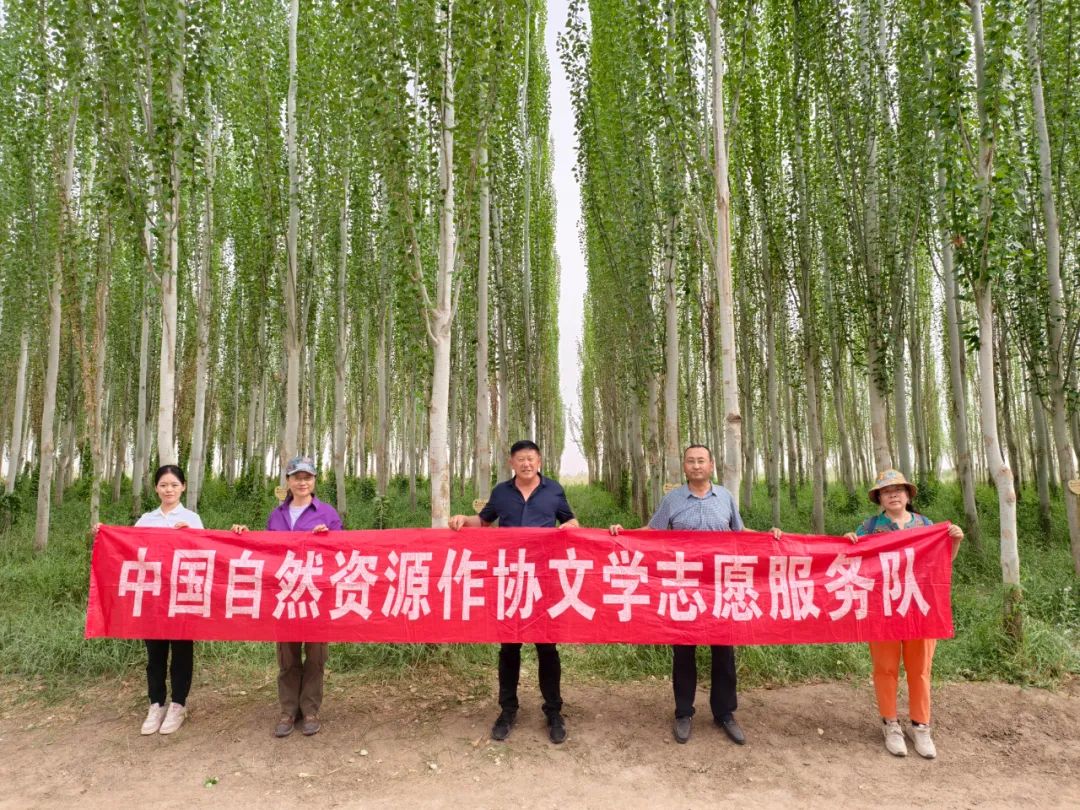 微信图片_20250526120710